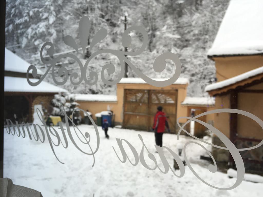 Casa Stefania Hotel Tălmaciu Eksteriør billede